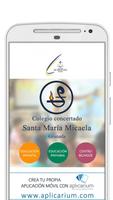 Colegio Santa María Micaela poster