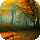 APK Natural Forest 3D Locker Theme