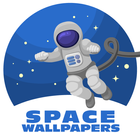 Space Locker Theme ikon