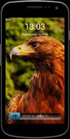 Eagle Locker Theme HD постер