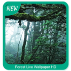 Forest Live Wallpaper HD icône