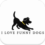 I love funny dogs أيقونة