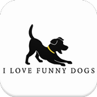 I love funny dogs icône