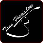 Curso Guitarra ToniFlamadeus icono