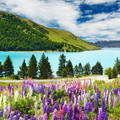 Puzzle Nature And Flowers Games
