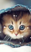 Cute Cat Wallpapers capture d'écran 3