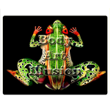 مدهش الوهم هيئة الفن