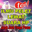 Ilmu Pelet Lewat HP