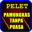 Ilmu Pelet Pamungkas Tanpa Puasa APK