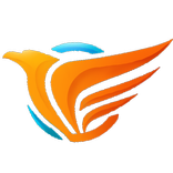 Safety First Phoenix