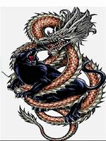 Dragon Spor Kulubü پوسٹر