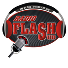 Radio Flash Sud icon