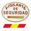 Vigilantes España