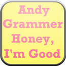 Andy Grammer I'm good Lyrics APK