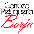 Carroza Peluquería Borja icône