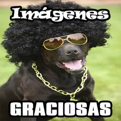 Imágenes Graciosas y de Risa APK Herunterladen