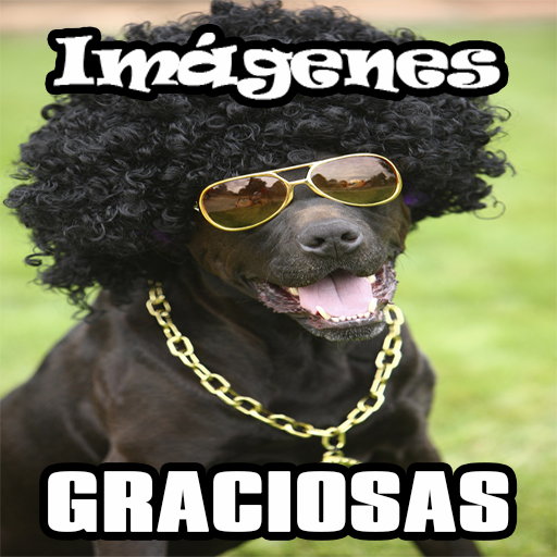 Imágenes Graciosas y de Risa