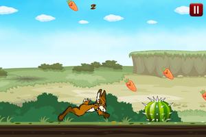 Run Bunny Run 포스터