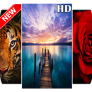 image fond d'écran gratuit HD 2019 wallpapers APK