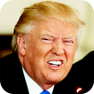 Donald Trump divertente colonn