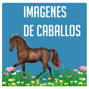 Imagenes de caballos APK