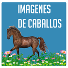 Imagenes de caballos icon