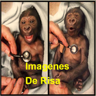 Imagenes de risa أيقونة