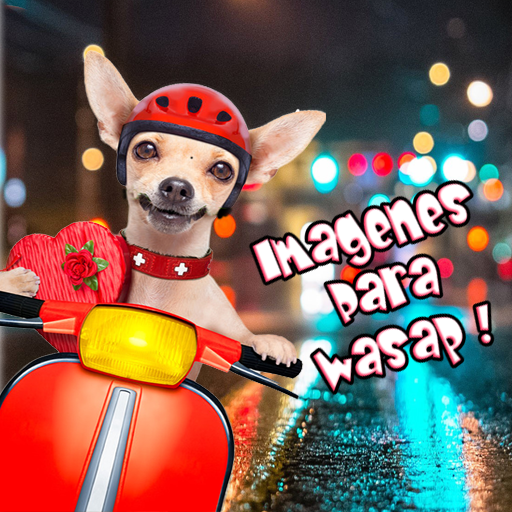 Imagenes para Wasap