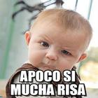Imagenes 2018 - 2019-icoon