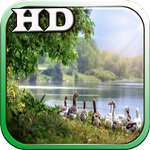 Nature wallpaper APK