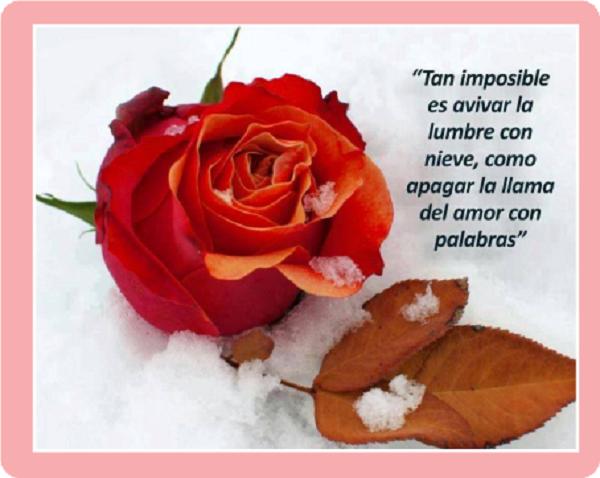 Imagenes de nostalgia y frases APK pour Android Télécharger Imagenes de nostalgia y frases APK pour Android Télécharger