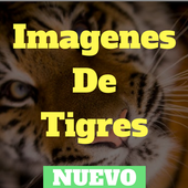 Free Tigres Images icon