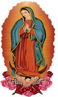 Imagenes Virgen de Guadalupe de Superación ảnh chụp màn hình 2