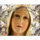 La Virgen de los Milagros-APK