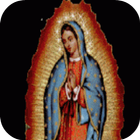 Virgen de Guadalupe  Live Wallpaper icône