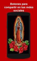Virgen de Guadalupe  Live Wallpaper capture d'écran 2