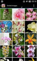 Apps for Orchid Lovers. Wallpapers Keyboard Themes الملصق