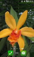 Apps for Orchid Lovers. Wallpapers Keyboard Themes تصوير الشاشة 1