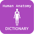 Human Anatomy Dictionary आइकन