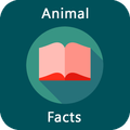”Animal Facts