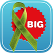 BIG Challenge 아이콘