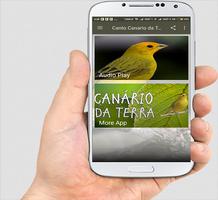 Canario da Terra Canto Liso 스크린샷 2