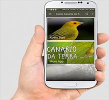 Canario da Terra Canto Liso скриншот 2