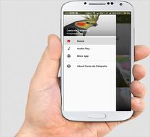 Calopsita Canto Popular do Brasil Screenshot 1