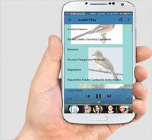 Canto de Passaros Completo Brasileiros ภาพหน้าจอ 3