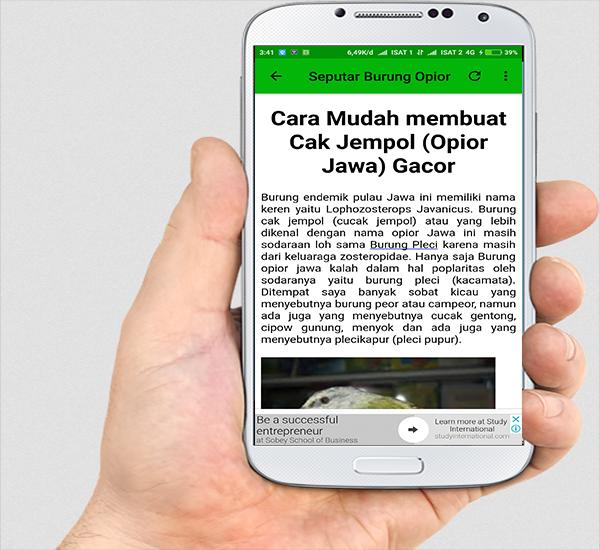 Suara Burung Opior Timor for Android - APK Download