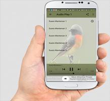 Suara Burung Mantenan screenshot 3