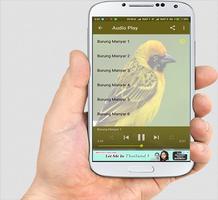 Suara Burung Manyar Kuning capture d'écran 3