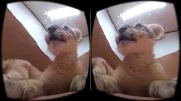 Lion Club VR 360 Video Affiche
