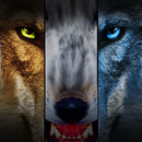 Kill Rampage Wolf APK